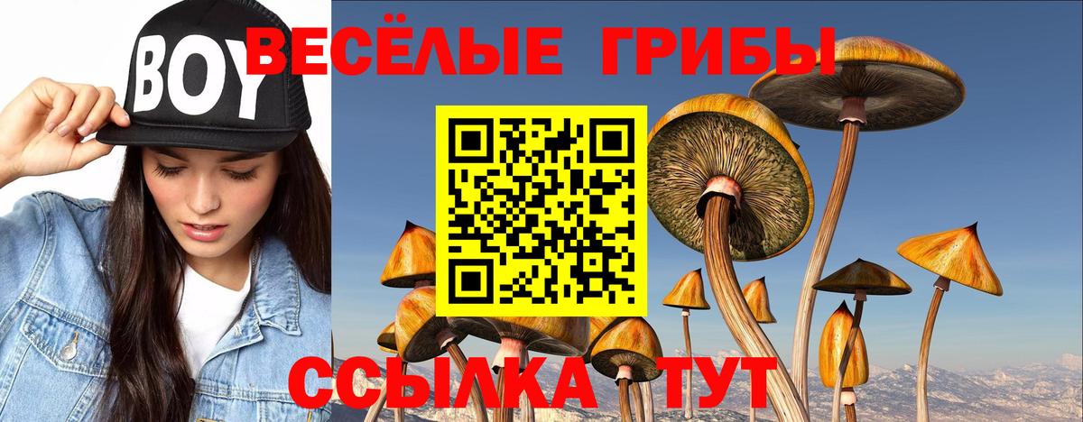 Псилоцибиновые грибы GOLDEN TEACHER  Вход с VPN  Галлюциногенные грибы MAGIC MUSHROOMS  Благовещенск 