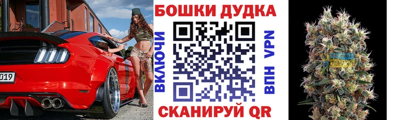 Конопля сатива Благовещенск
